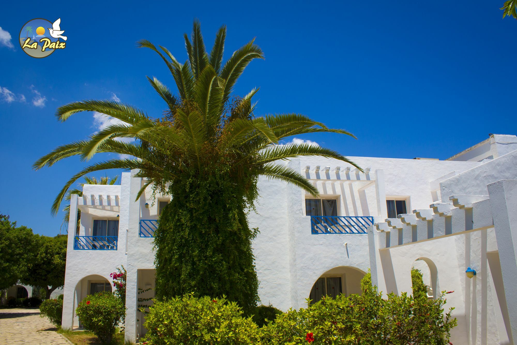 Hotel Residence La Paix Hammamet Eksteriør billede