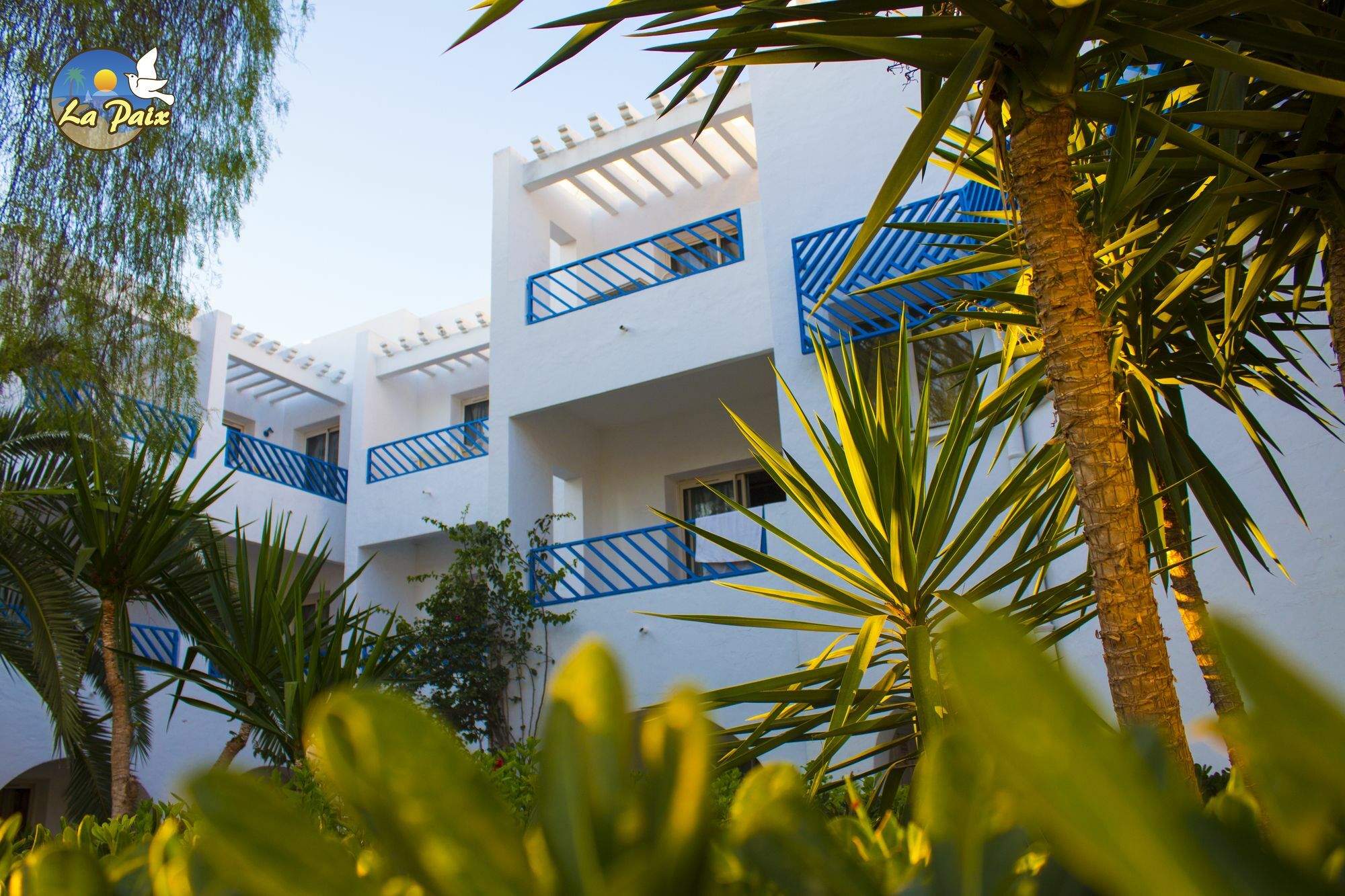 Hotel Residence La Paix Hammamet Eksteriør billede